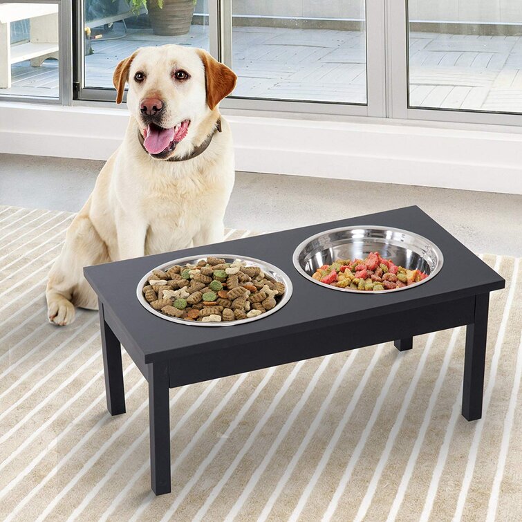 Elevated dog food outlet feeder